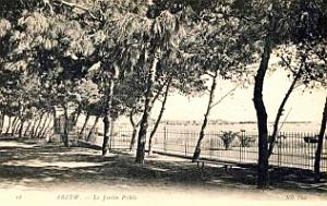 Arzew 295